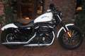Harley-Davidson Sportster XL 883 Bílá - thumbnail 5