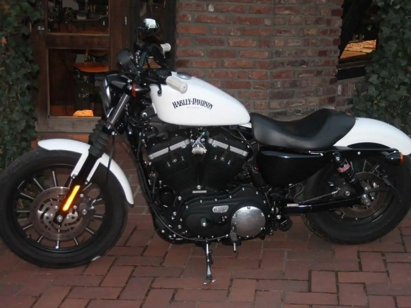 Harley-Davidson Sportster XL 883 Bílá - 1