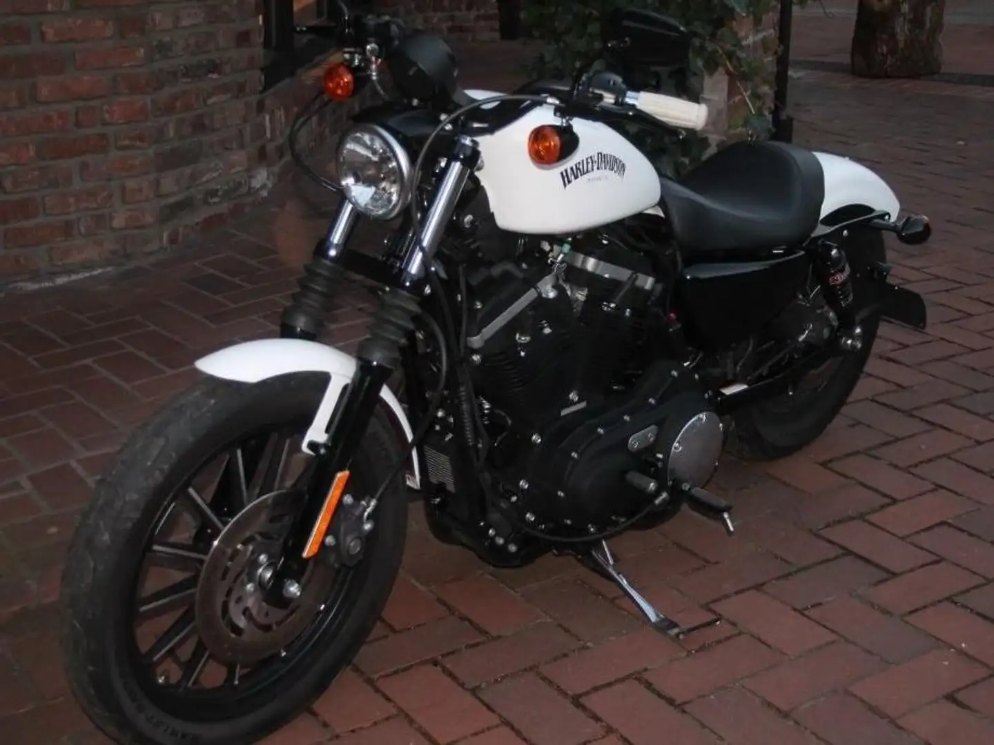 Harley-Davidson Sportster XL 883 Bílá - 2