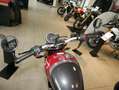 Triumph sofort verfügbar Rot - thumbnail 7