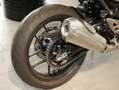 Triumph sofort verfügbar Rood - thumbnail 2