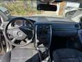 Mercedes-Benz B 170 B 170 A-Edition A-Edition Grau - thumbnail 4