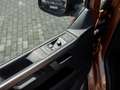 Volkswagen T6.1 Multivan 2.0 TDI Edition AHK Navi Kam LE Bronze - thumbnail 13