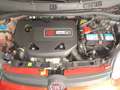 Fiat Panda Panda 0.9 t.air turbo Lounge 85cv Rosso - thumbnail 5
