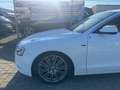 Audi A5 Sportback 3.0 TDI quattro |S-LINE|EUR6| Weiß - thumbnail 3