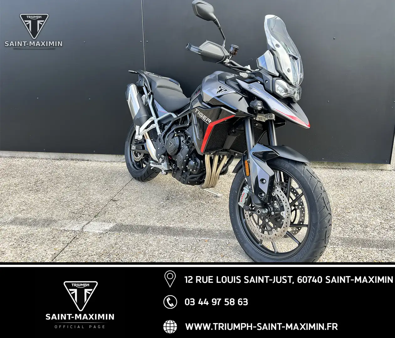 Triumph Tiger 900 - 1