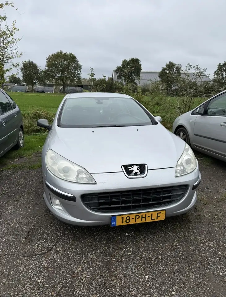 Peugeot 407
