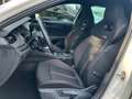 Skoda Octavia 1.4 TSI iV RS LED+SHZ+KAMERA+DAB+NAVI Weiß - thumbnail 9
