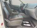 Ford Ranger 3.2TDCI DCb. Wildtrak 4x4 Blanco - thumbnail 28