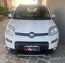 Fiat Panda Panda 0.9 t.air turbo 4x4 85cv E6 Blanc - thumbnail 8