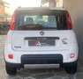 Fiat Panda Panda 0.9 t.air turbo 4x4 85cv E6 Blanc - thumbnail 4