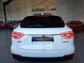 Maserati Levante S 3.0 V6 316kW 4x4 PANO 2JAHRE GARANTIE Weiß - thumbnail 14