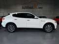 Maserati Levante S 3.0 V6 316kW 4x4 PANO 2JAHRE GARANTIE Weiß - thumbnail 6