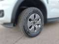 Ford Ranger Doppelkabine 281PS Benzin/Strom XLT e-4W... Weiß - thumbnail 7