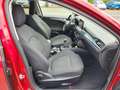 Ford Focus Focus Active 1.0 EcoBoost Rojo - thumbnail 4