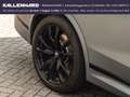 BMW X7 xDrive40d-M-Sport-7 Sitzer-Bowers&Wilkins-Voll Gris - thumbnail 15