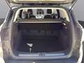 Ford Kuga Kuga 2,0 TDCi Titanium AWD Titanium Grau - thumbnail 21