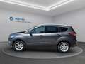 Ford Kuga Kuga 2,0 TDCi Titanium AWD Titanium Grau - thumbnail 9