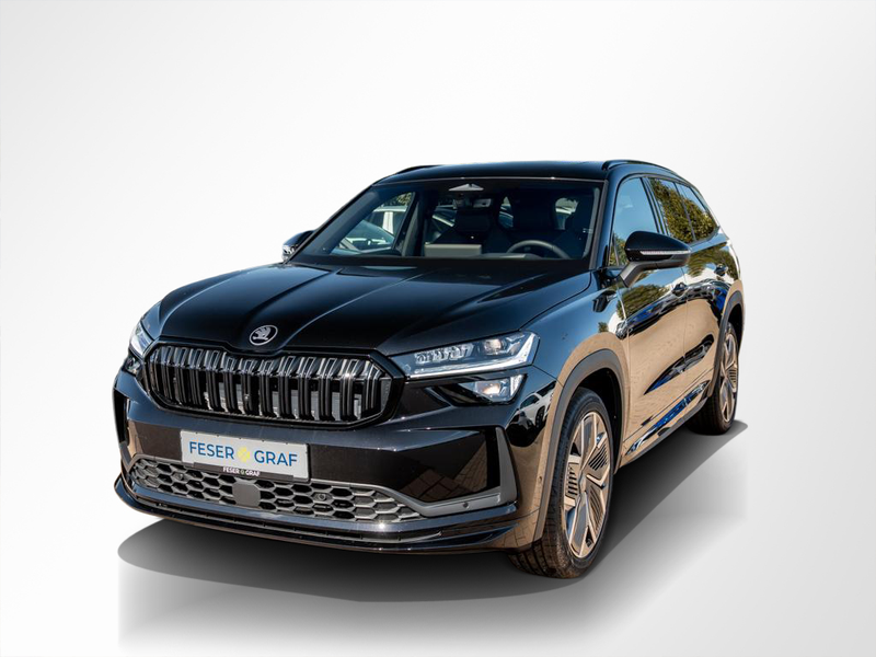Skoda Kodiaq Sportline 2.0TDI 4x4 DSG 360°/MATRIX/AHK — photo 14