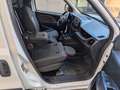 Fiat Doblo 1.6 MJT 105CV S&S  3 posti PC-TN Cargo Lounge Bianco - thumbnail 8