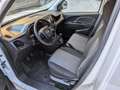 Fiat Doblo 1.6 MJT 105CV S&S  3 posti PC-TN Cargo Lounge Bianco - thumbnail 13