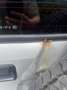 Suzuki Jimny 1.3 JLX Grijs - thumbnail 13