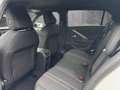 Opel Astra L 1.2 Turbo GS LED+SHZ+2xKlima+360+KeyLess Blanco - thumbnail 9