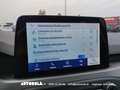 Ford Focus Focus SW 1.5 Ecoblue Business Automatica Nero - thumbnail 10