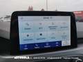 Ford Focus Focus SW 1.5 Ecoblue Business Automatica Nero - thumbnail 7