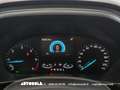 Ford Focus Focus SW 1.5 Ecoblue Business Automatica Nero - thumbnail 5