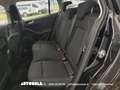 Ford Focus Focus SW 1.5 Ecoblue Business Automatica Nero - thumbnail 12