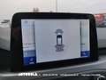 Ford Focus Focus SW 1.5 Ecoblue Business Automatica Nero - thumbnail 9