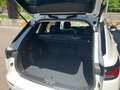 Mitsubishi Outlander PHEV 2,4 4WD Invite 220V AT 25 Weiß - thumbnail 6