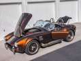 AC Cobra Shelby 427 Mk III Backdraft Racing (7.0l V8) Braun - thumbnail 15