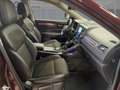 Renault Koleos 2.0 BLUE dCi 190 Limited Red - thumbnail 8