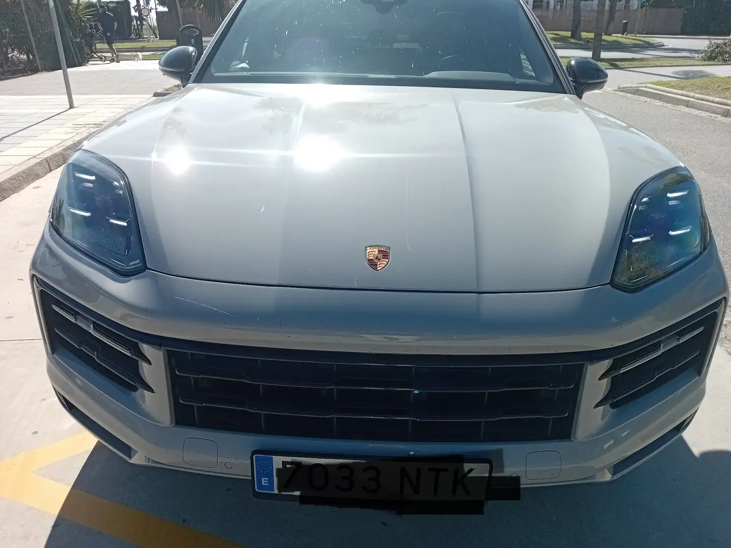 Porsche Cayenne S E-Hybrid Platinum Edition - 1