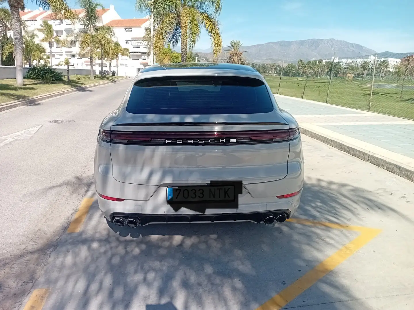 Porsche Cayenne S E-Hybrid Platinum Edition - 2