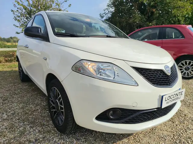 Lancia Ypsilon 1.2 Elefantino Blu ecochic Gpl 69cv my19