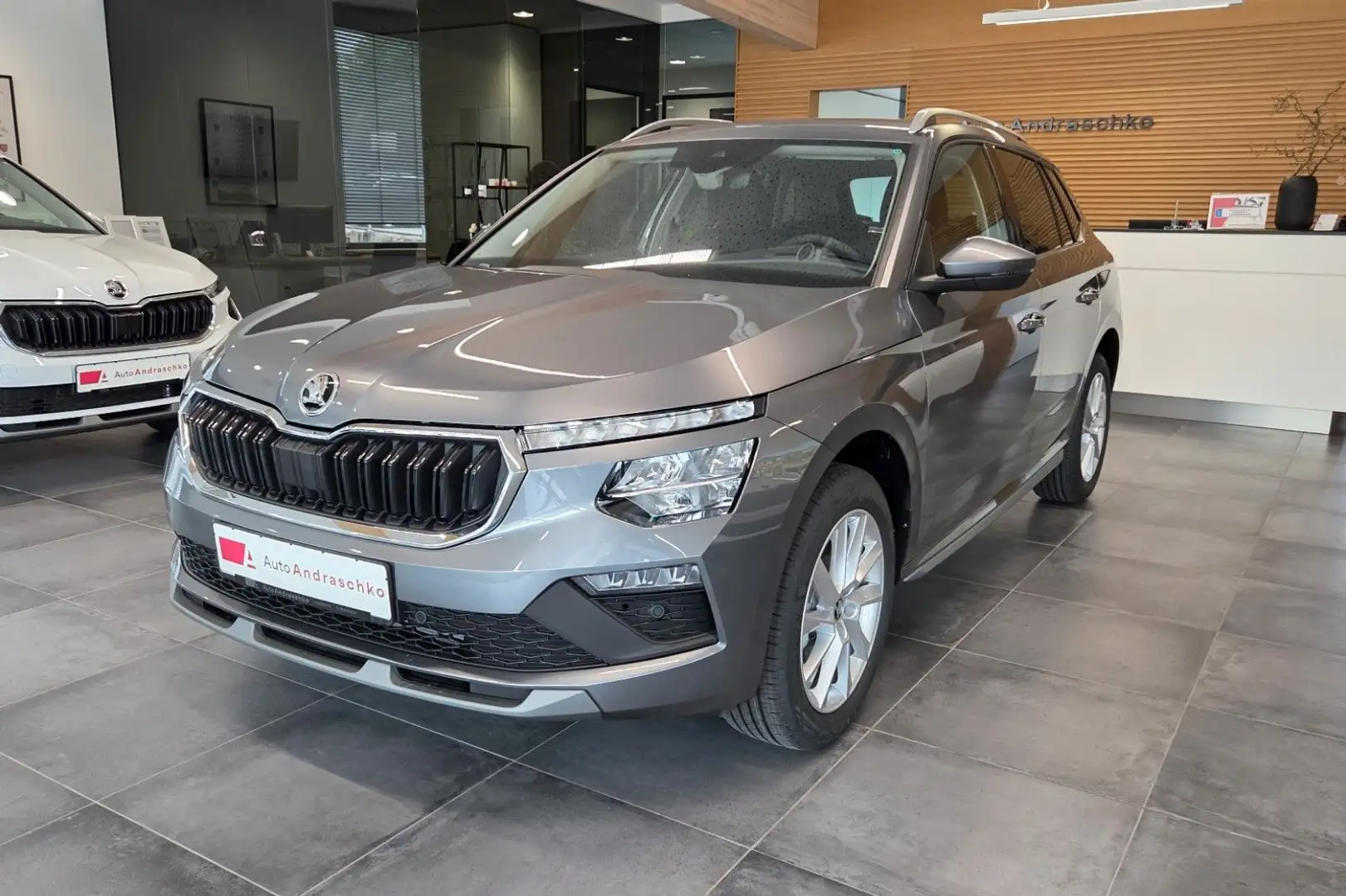 Skoda Kamiq 1.0 TSI 130J./Selection Kamera AHK 5J.GAR Grau - 1