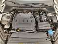 Skoda Octavia Wagon Executive DSG 2.0 Diesel 116CV Bianco - thumbnail 13