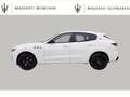 Maserati Levante Modena S/12M Garantie/AHK/1.Hd. Weiß - thumbnail 3