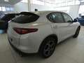 Alfa Romeo Stelvio 2.2 t Executive Q4 210cv Auto TETTO APRIBILE Silber - thumbnail 6