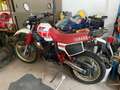 Yamaha XT 600 enduro Bianco - thumbnail 1
