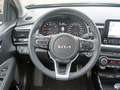Kia Stonic Platinum Edition DCT Schiebedach Grau - thumbnail 9