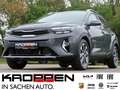 Kia Stonic Platinum Edition DCT Schiebedach Grau - thumbnail 1