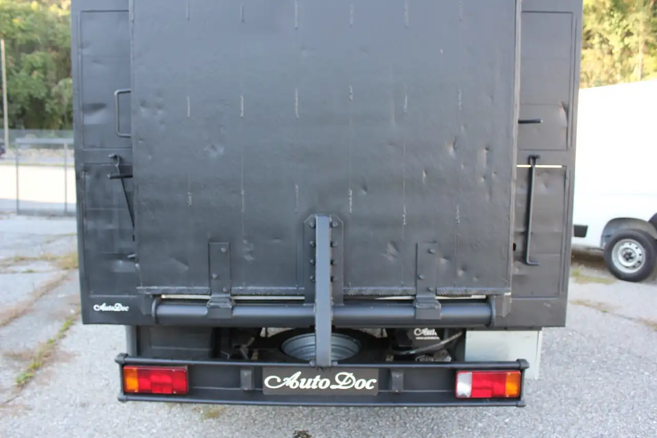 IVECO 50 q.li. DAILY TRASPORTO ANIMALI VIVI, foto 7