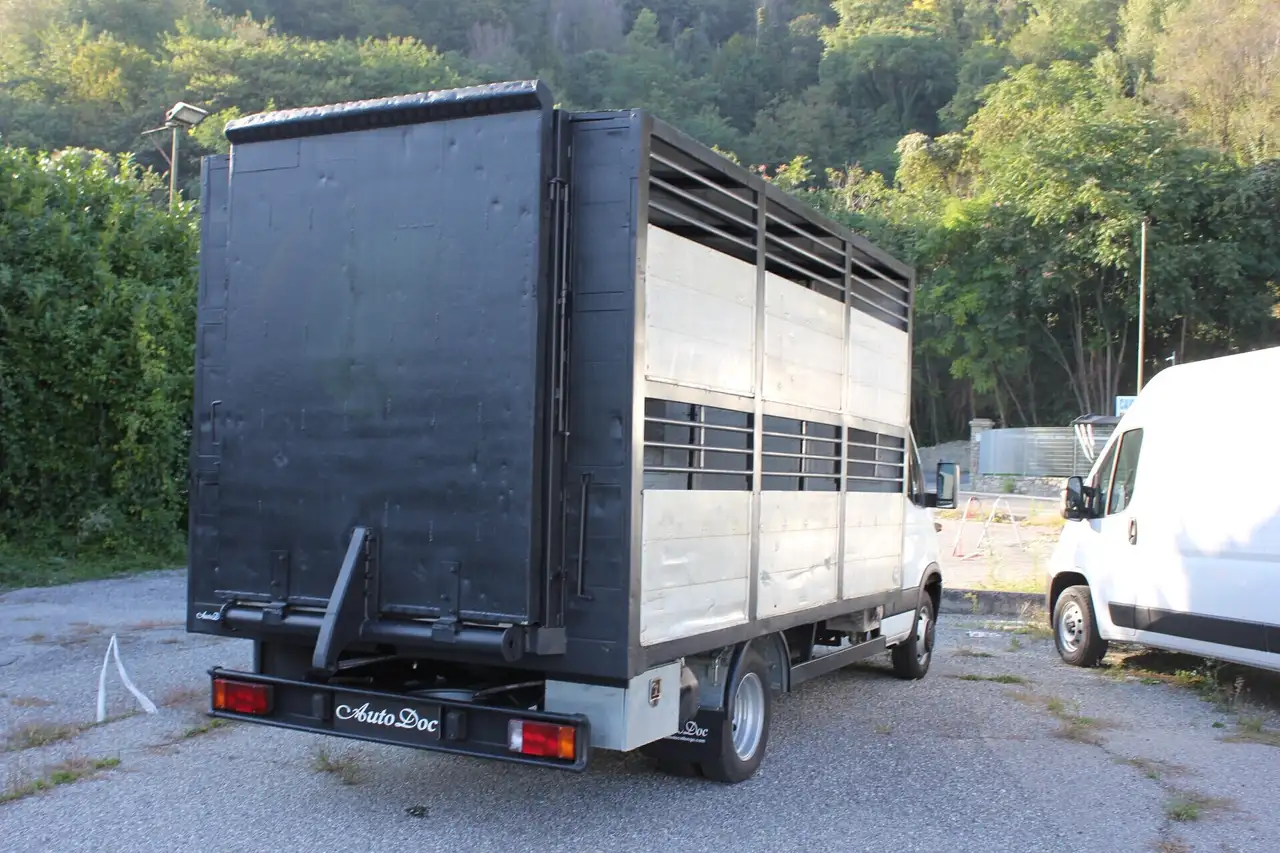 IVECO 50 q.li. DAILY TRASPORTO ANIMALI VIVI, foto 5