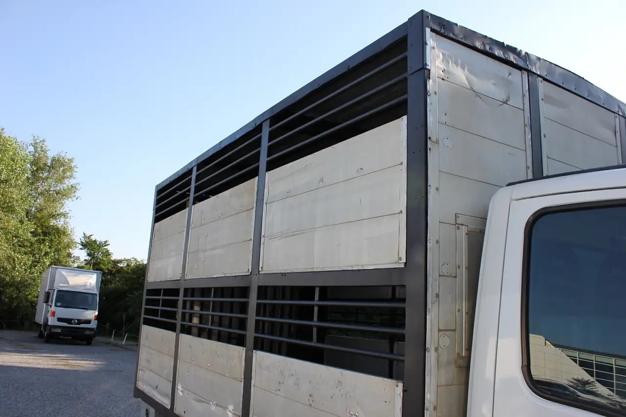 IVECO 50 q.li. DAILY TRASPORTO ANIMALI VIVI, foto 3