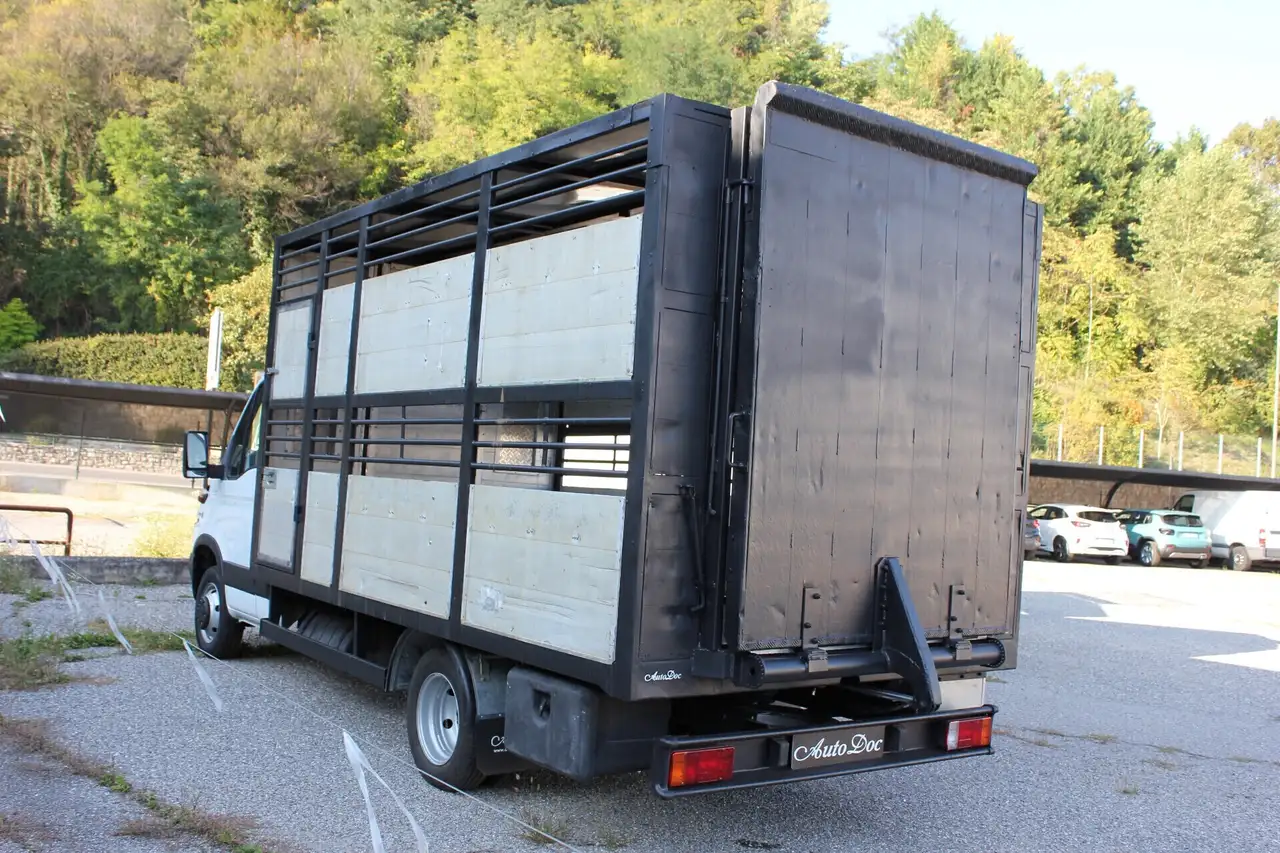 IVECO 50 q.li. DAILY TRASPORTO ANIMALI VIVI, foto 8