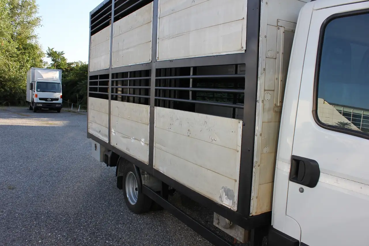 IVECO 50 q.li. DAILY TRASPORTO ANIMALI VIVI, foto 4